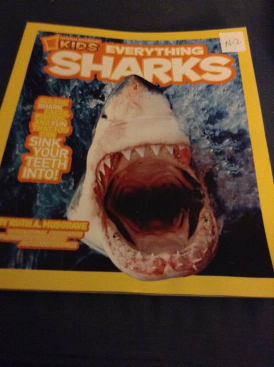 National Geographic Kids: Everything Sharks - Ruth Musgrave book collectible [Barcode 9780545442565] - Main Image 1