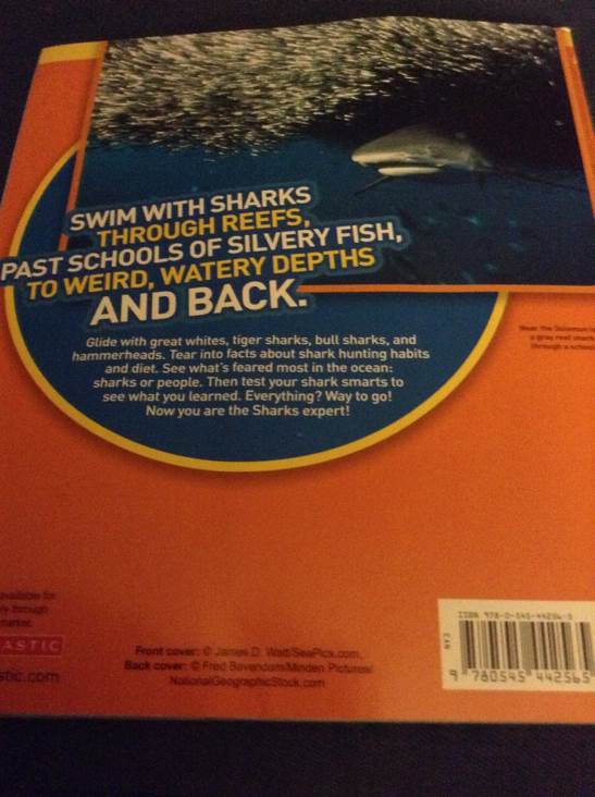 National Geographic Kids: Everything Sharks - Ruth Musgrave book collectible [Barcode 9780545442565] - Main Image 2