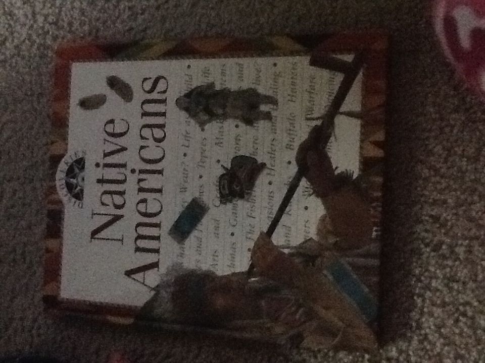 Discoveries: Native Americans