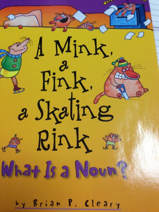 A Mink Fink Skating Rink: What Is A Noun? - Brian Cleary (Scholastic Inc. - Paperback) book collectible [Barcode 9780439192699] - Main Image 1