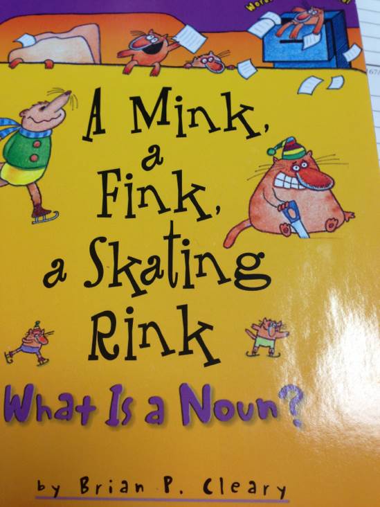 A Mink Fink Skating Rink: What Is A Noun?