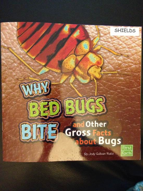 Why Bed Bugs Bite And Other Gross Facts About Bugs
