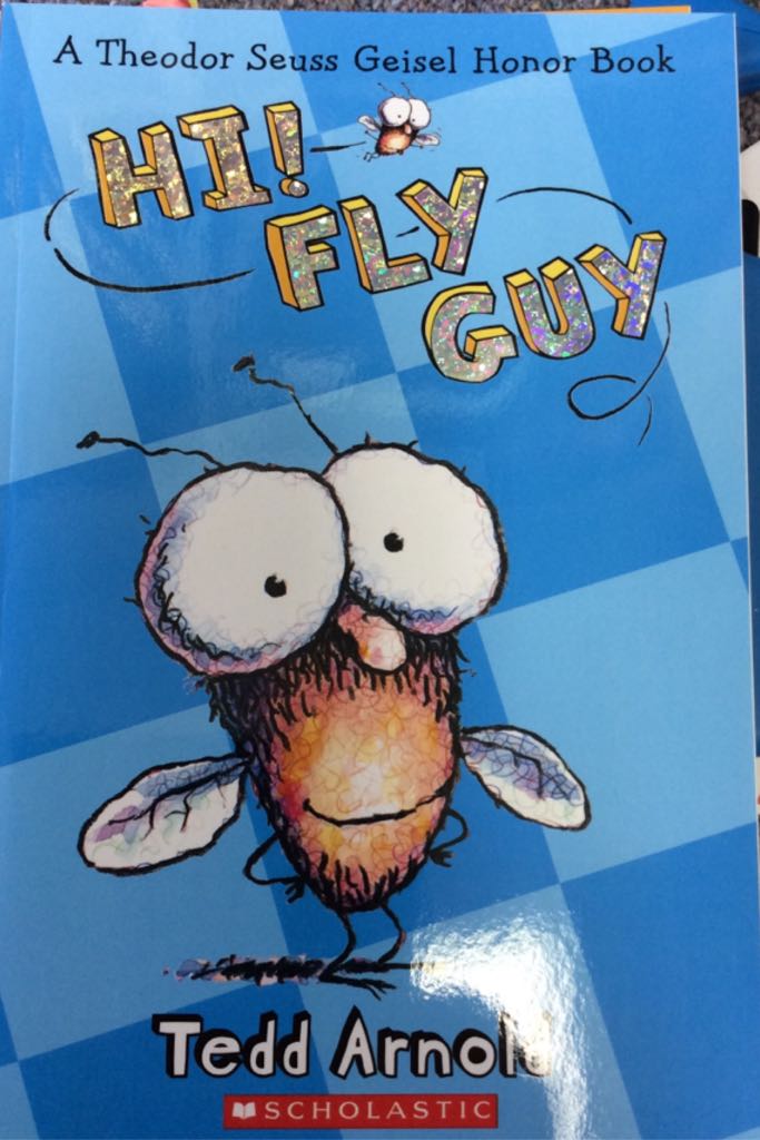 Hi Fly Guy