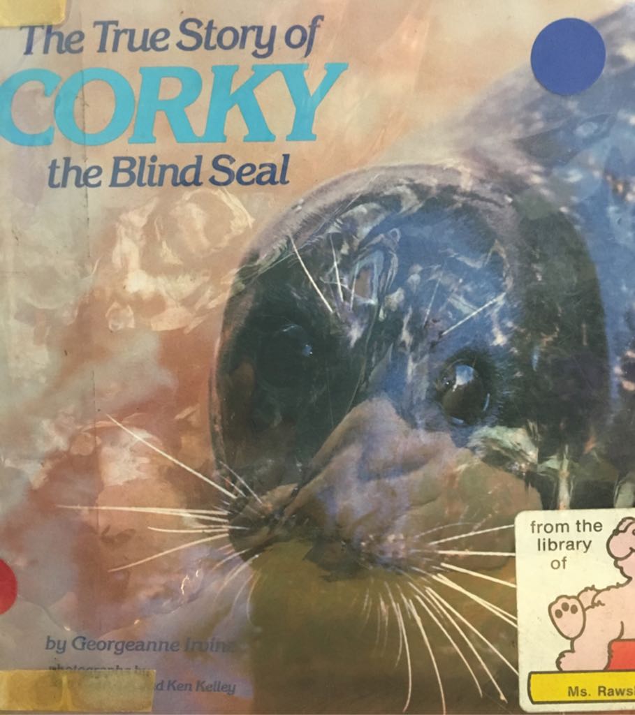 The True Story Of Corky The Blind Seal