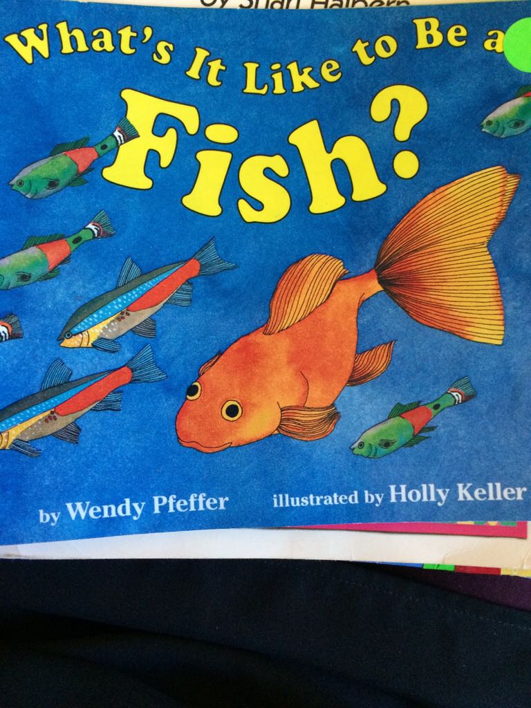 What is it Like to be a Fish?