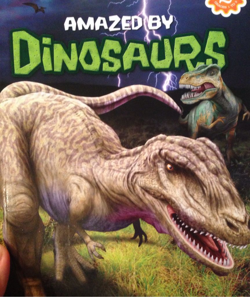 Amazed by Dinosaurs - R (- Paperback) book collectible [Barcode 9781453079362] - Main Image 1