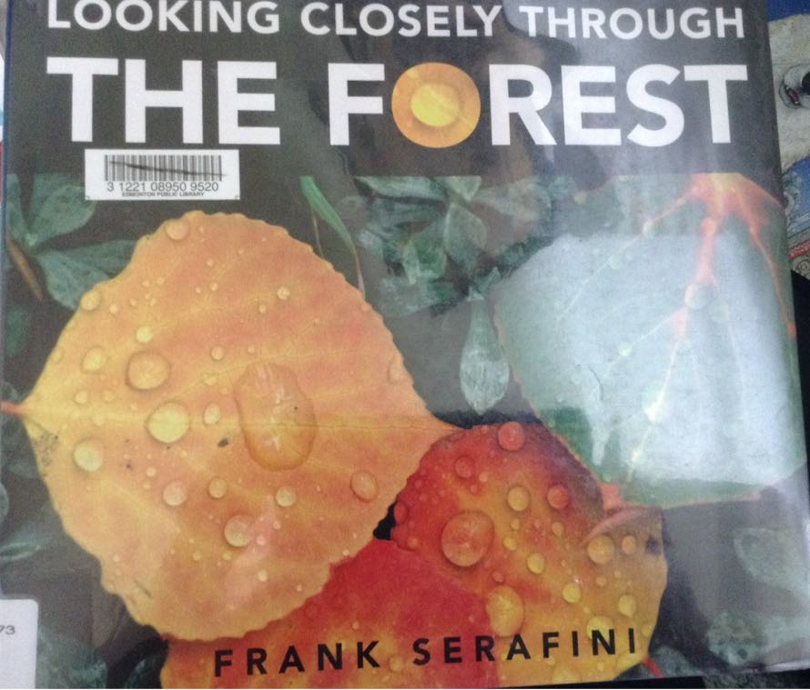 Looking Closely Through the Forest