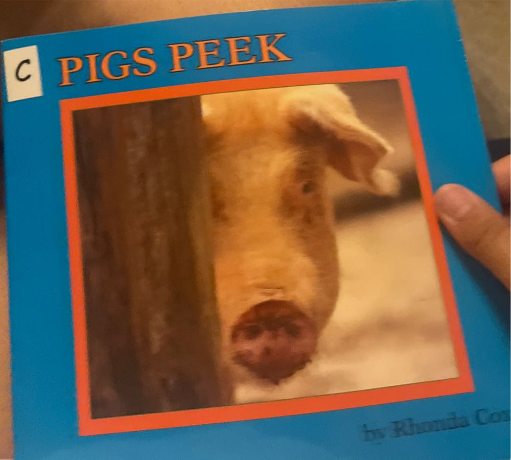 Pigs Peek