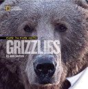 Face to Face with Grizzlies