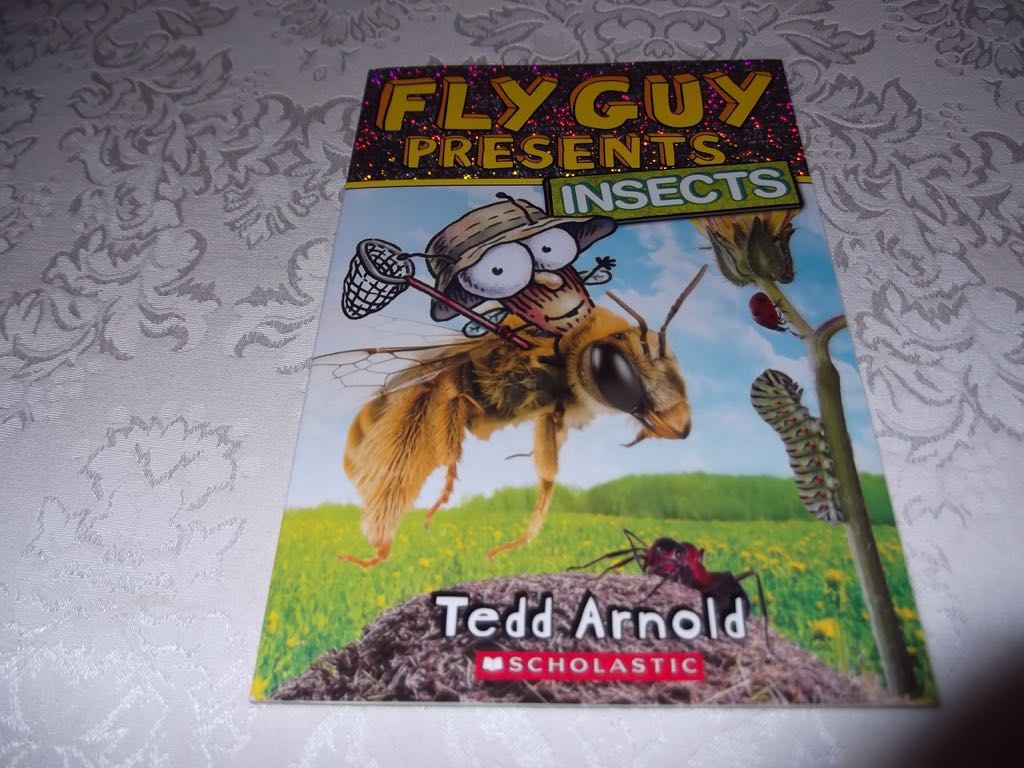 Fly Guy Presents: Insects - Tedd Arnold (Scholastic Inc - Paperback) book collectible [Barcode 9780545873918] - Main Image 1