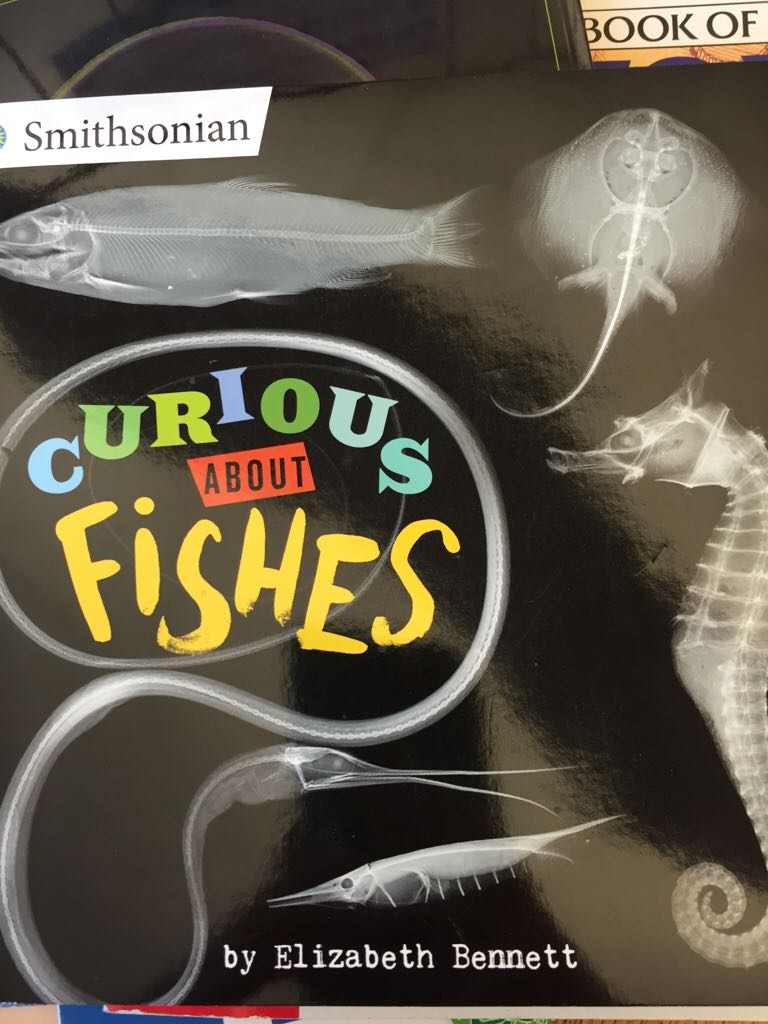 Curious About Fishes - Elizabeth Bennett (Grosset & Dunlap) book collectible [Barcode 9780448484624] - Main Image 1
