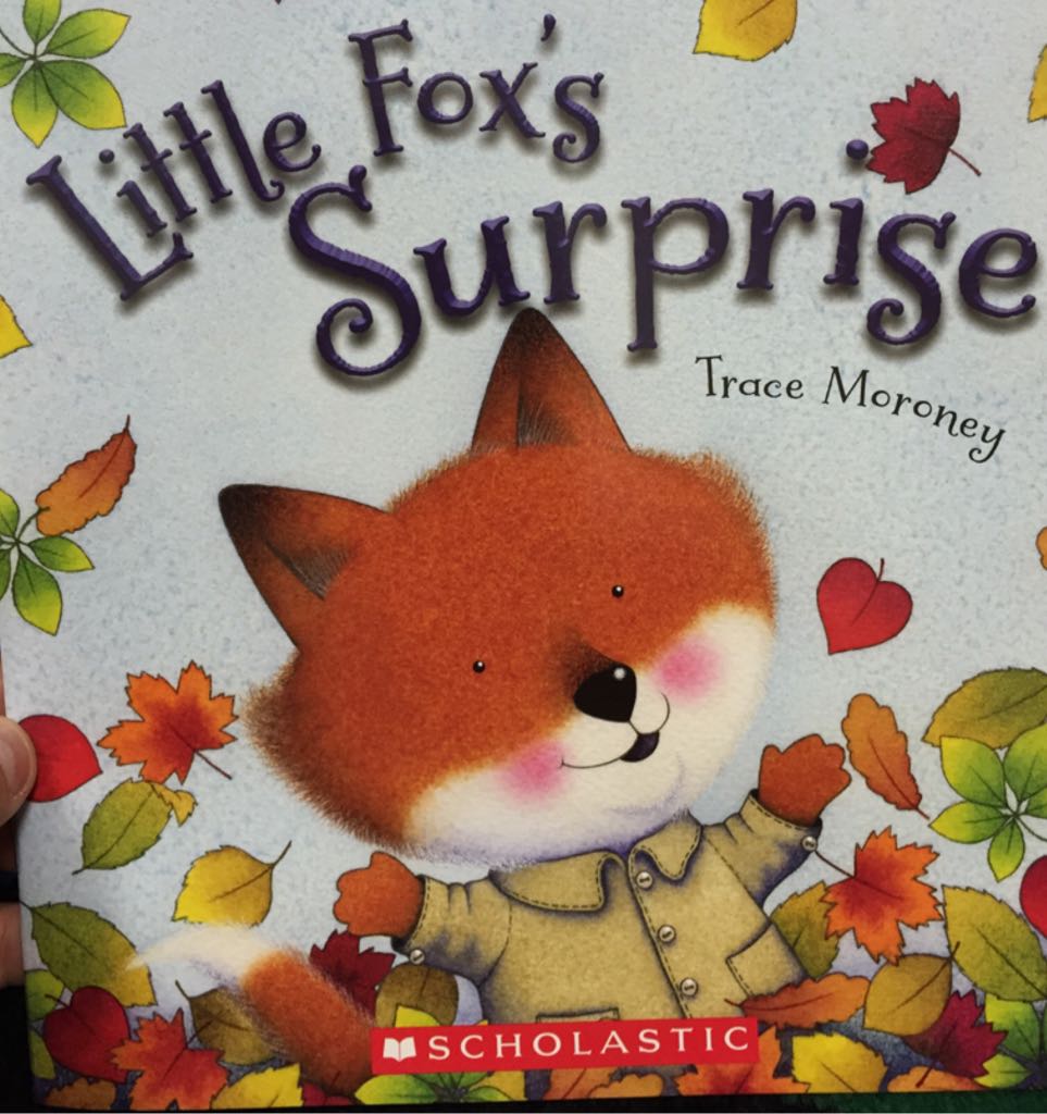 Little Fox’s Surprise