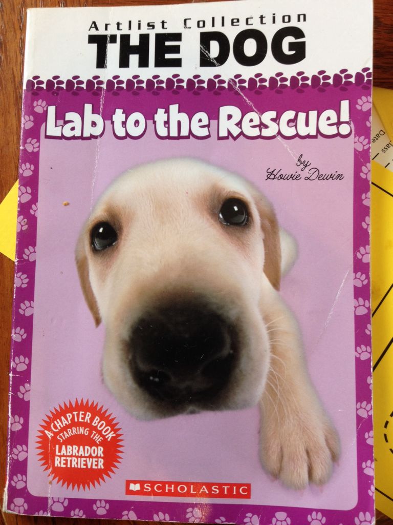 The Dog Lab to the Rescue!