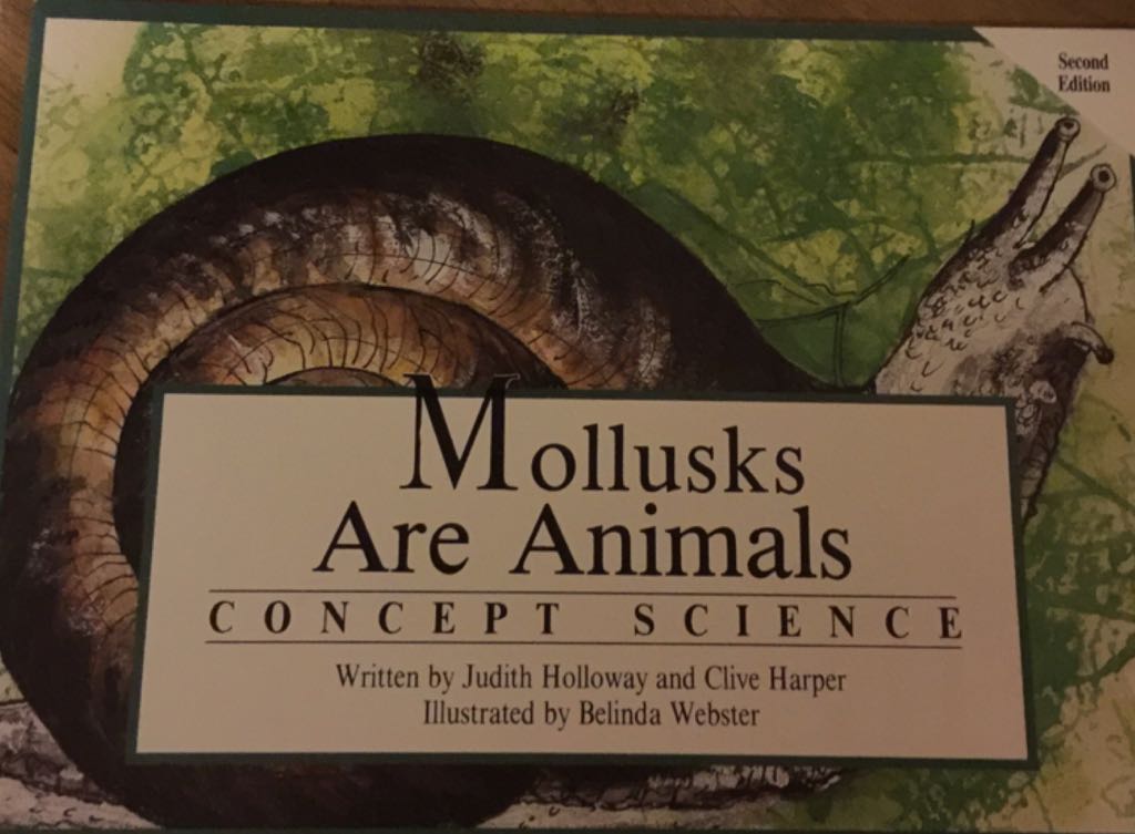 Mollusks Are Animals