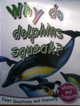 Why Do Dolphins Squeak?