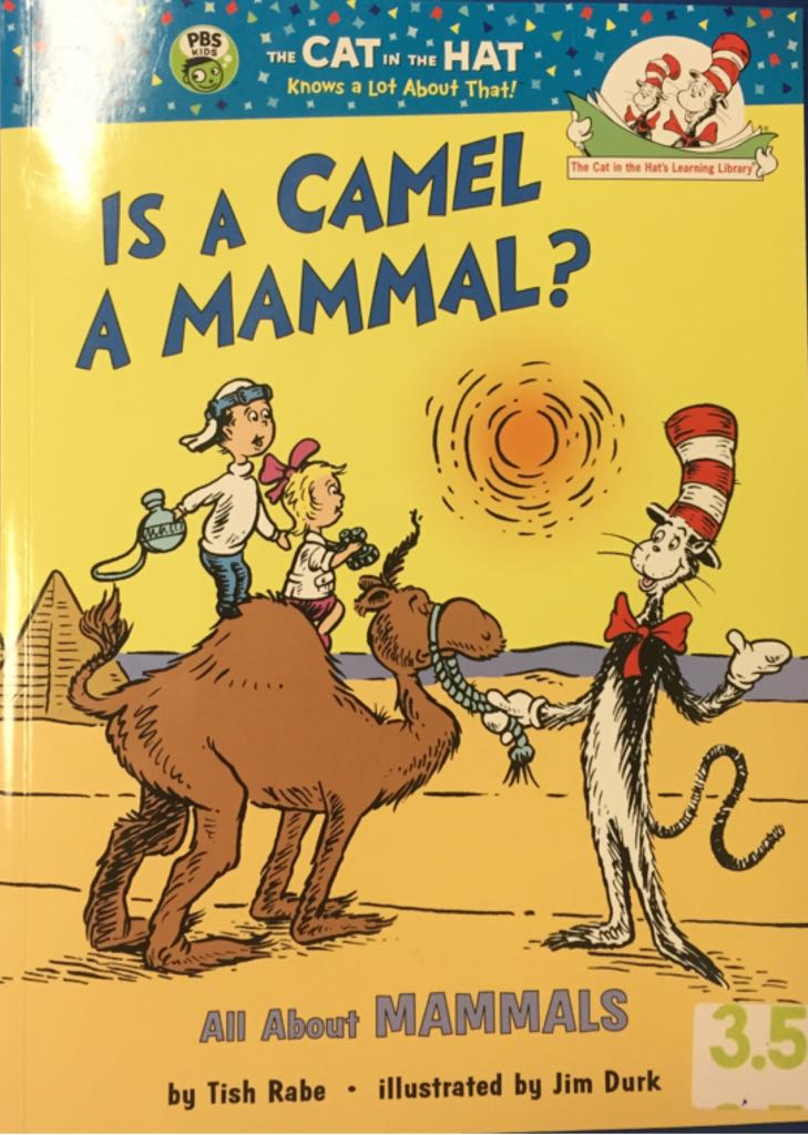 Is A Camel A Mammal? All About Mammals