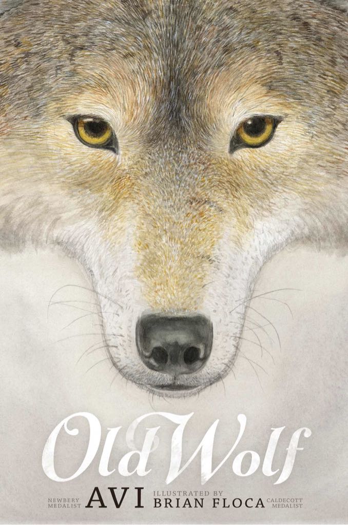 Old Wolf - Avi (- Paperback) book collectible [Barcode 9781338033472] - Main Image 1