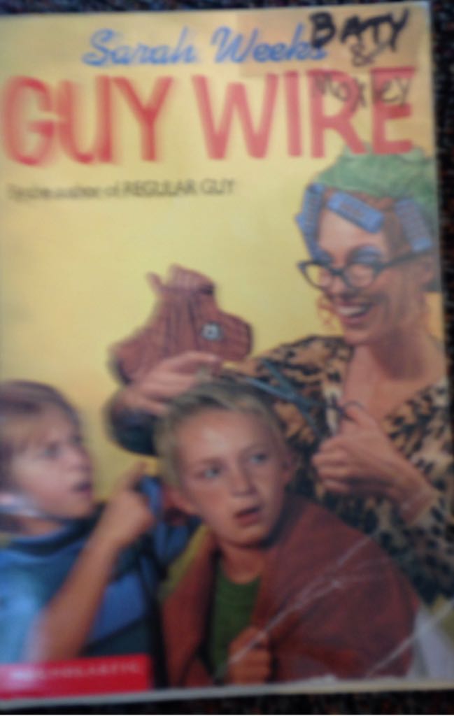 Guy Wire