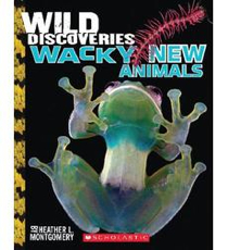 Wild Discoveries: Wacky New Animals