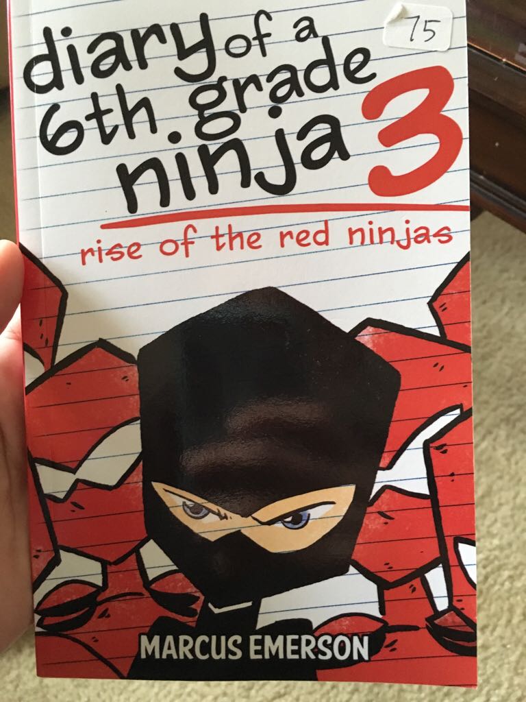 Diary of a 6th Grade Ninja 3