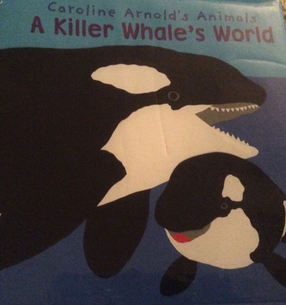 A Killer Whale’s World