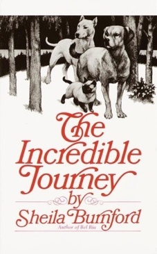 Incredible Journey, The - Sheila Burnford (Little, Brown - Paperback) book collectible [Barcode 9780440226703] - Main Image 1