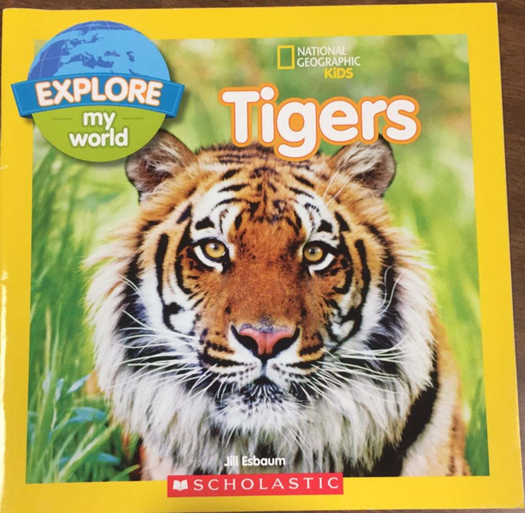 Tigers NGK Explore my world