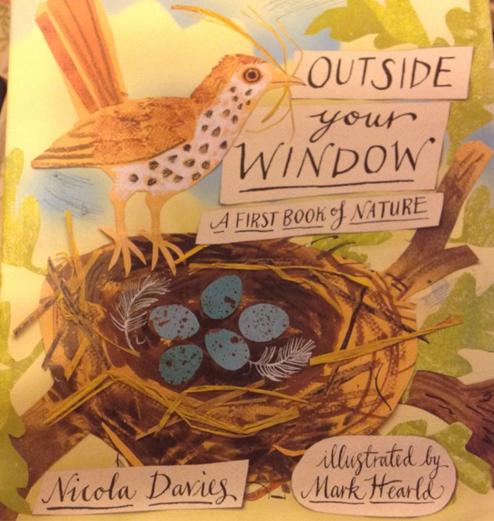Outside Your Window