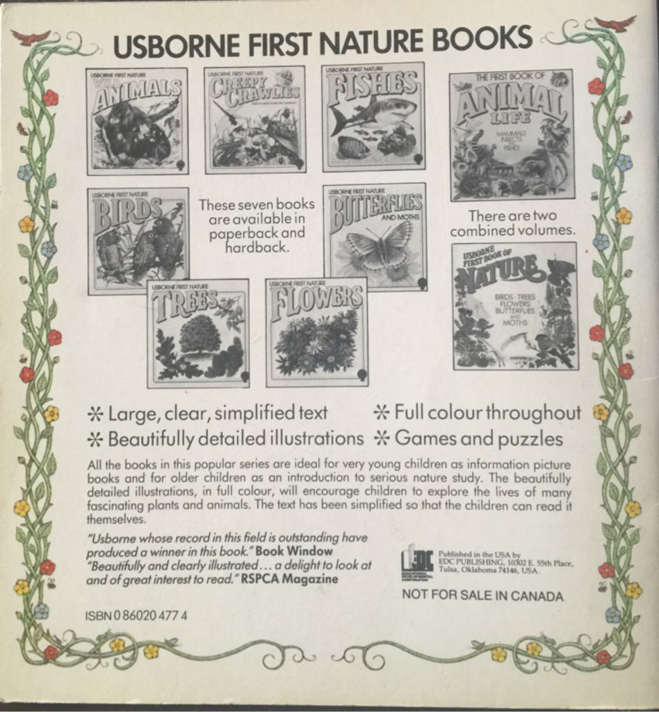Butterflies and Moths: Usborne - Rosamund Cox (Creatures - Insects) book collectible [Barcode 9780860204770] - Main Image 2