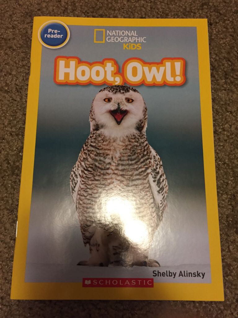 Hoot,Owl! - Shelby Alinsky (Scholastic, Inc.) book collectible [Barcode 9780545890137] - Main Image 1