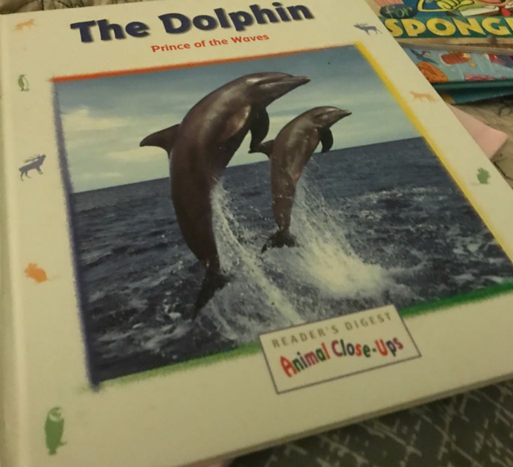 The Dolphin Prince Of The Waves