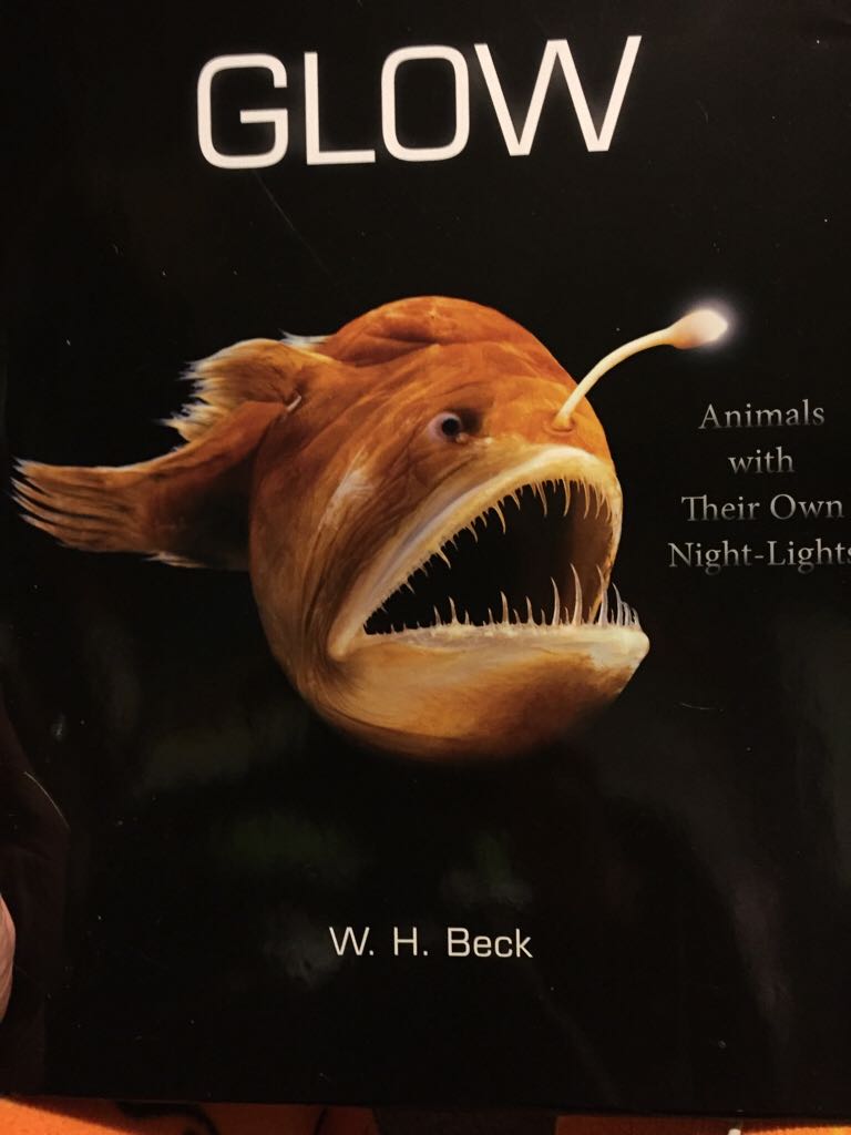 Glow: Animals with Their Own Night-Lights
