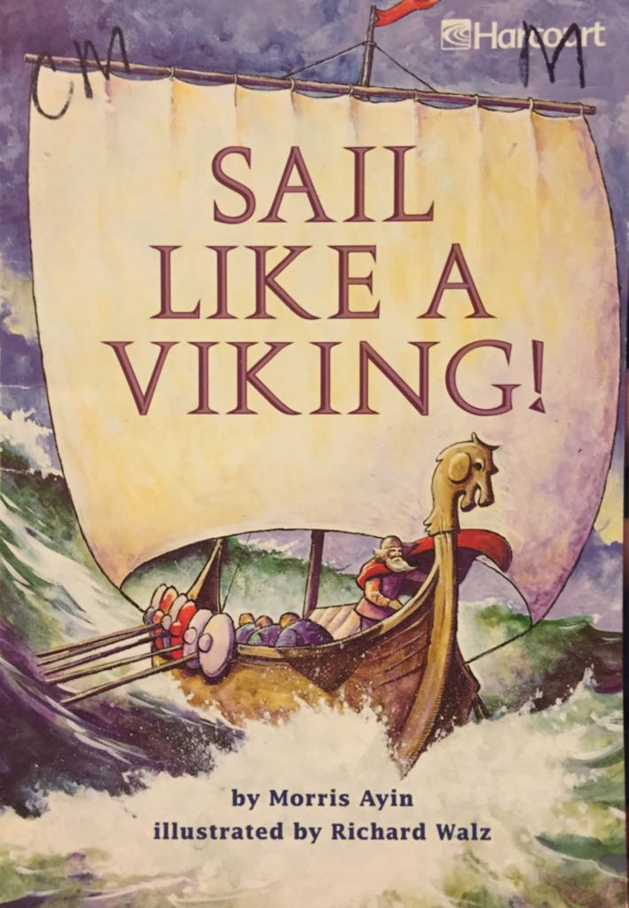 Sail Like A Viking!