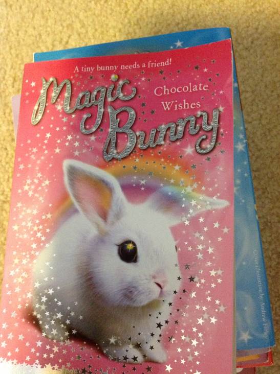 Magic Bunny: Chocolate Wishes