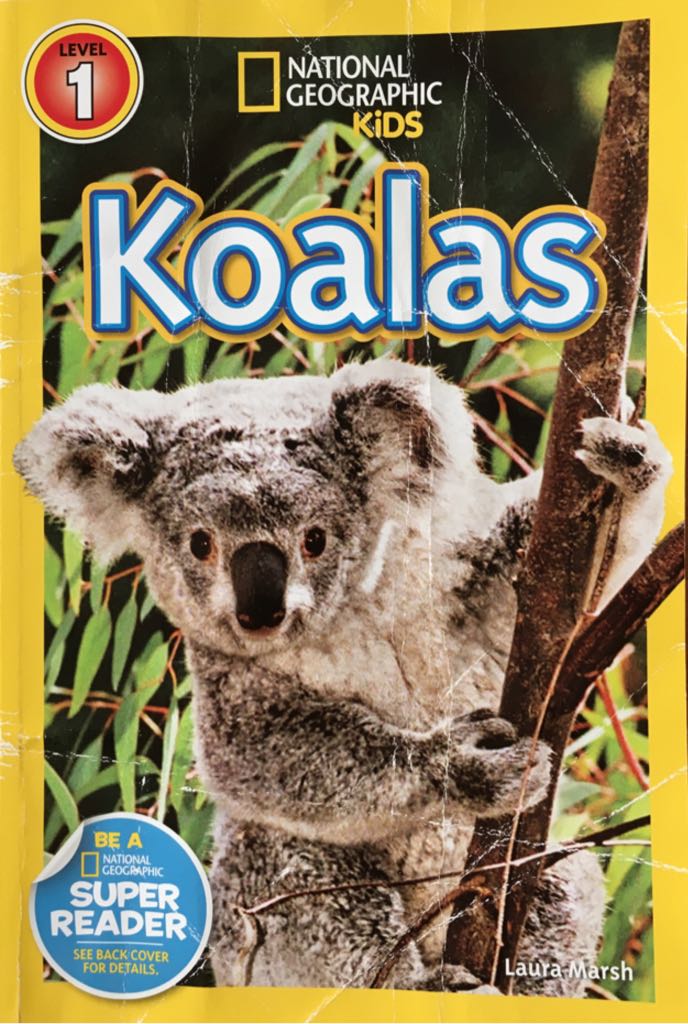 Koalas