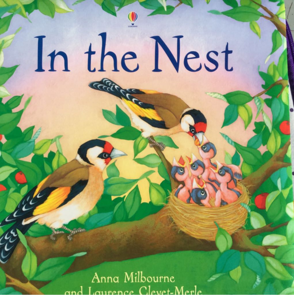 In the Nest