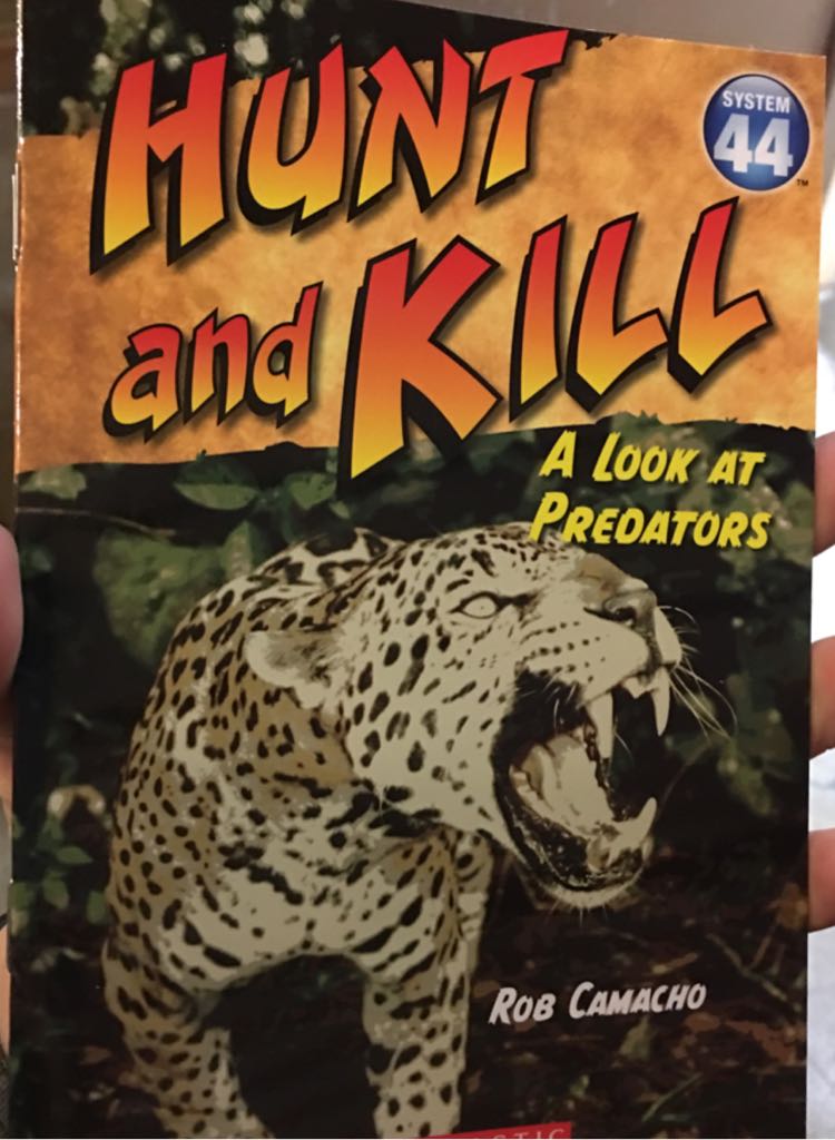 Hunt And Kill A Look At Predators