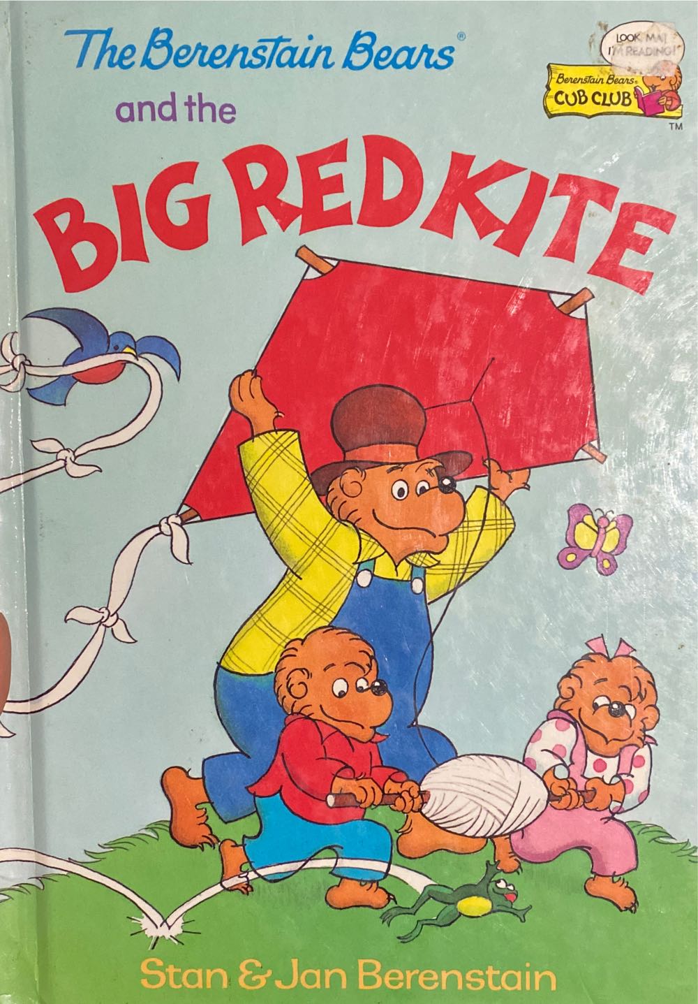 Bernstein Bears and the Big Red Kite