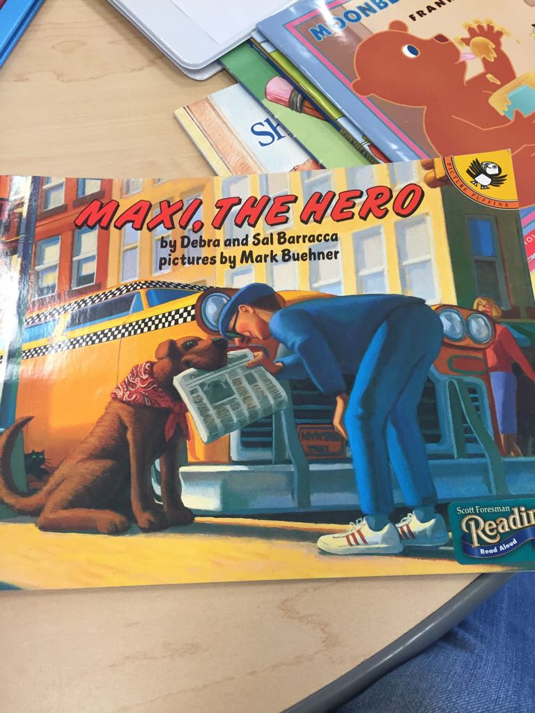 Maxi The Hero