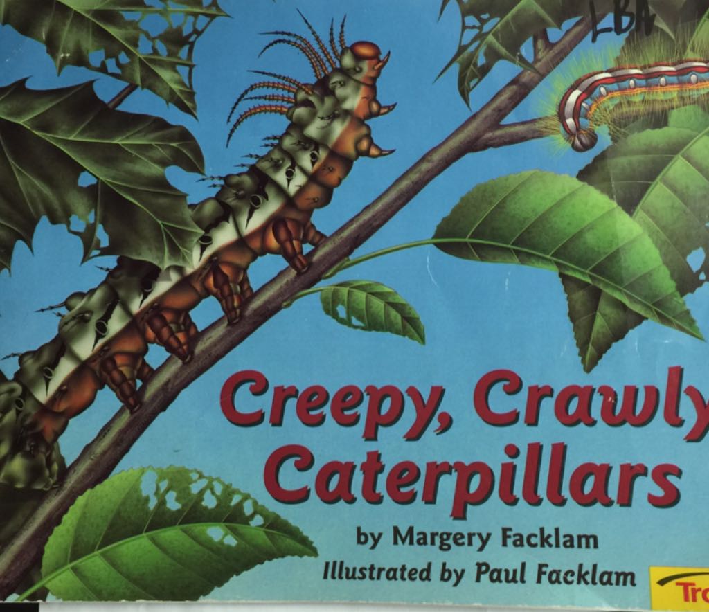 Creepy Crawly Caterpillars
