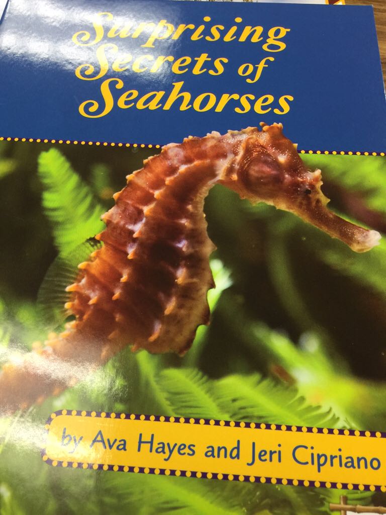 Surprising Secrets of Seahorses