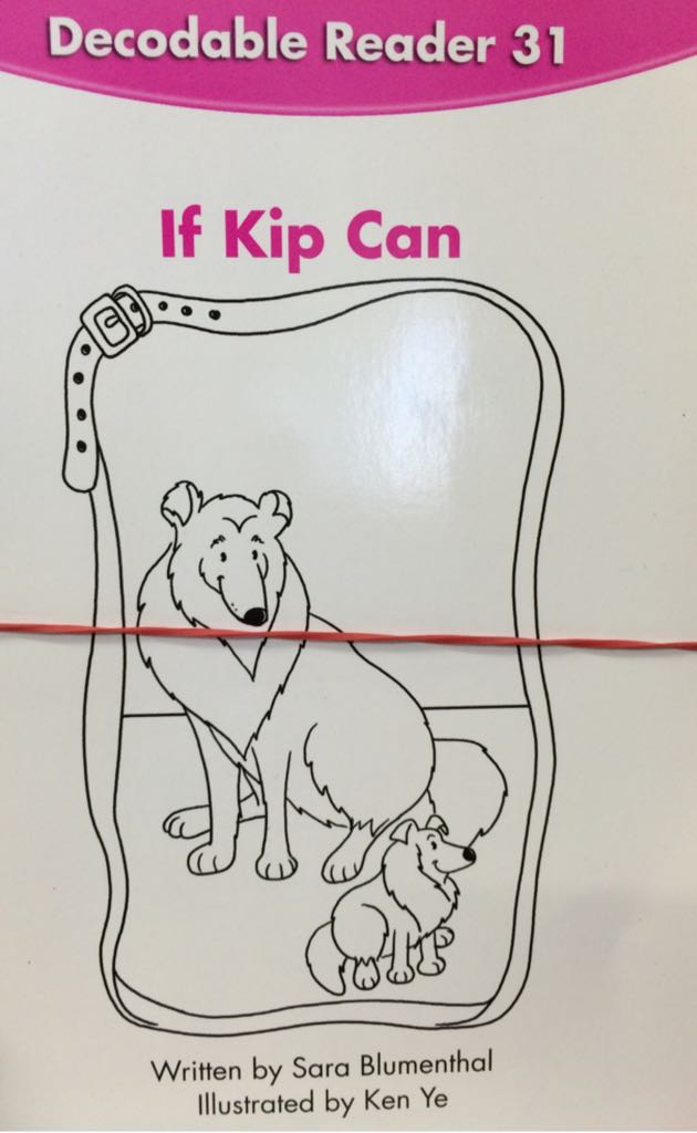 If Kip Can 31