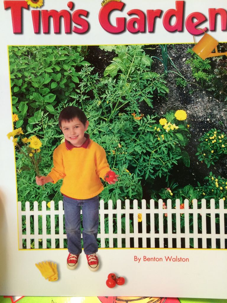 Tim’s Garden