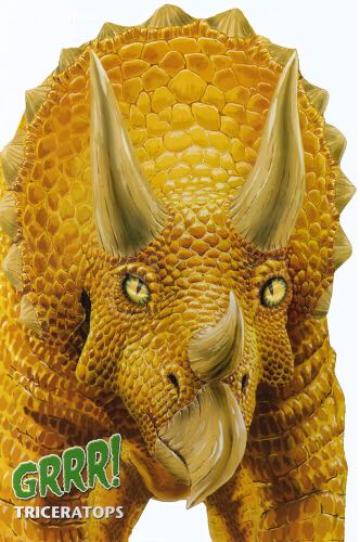 Grrr! Triceratops