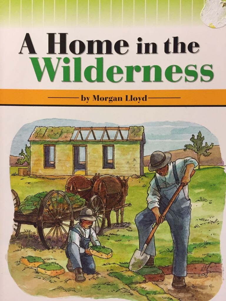 A Home in the Wilderness - Morgan Lloyd book collectible [Barcode 9780328132409] - Main Image 1