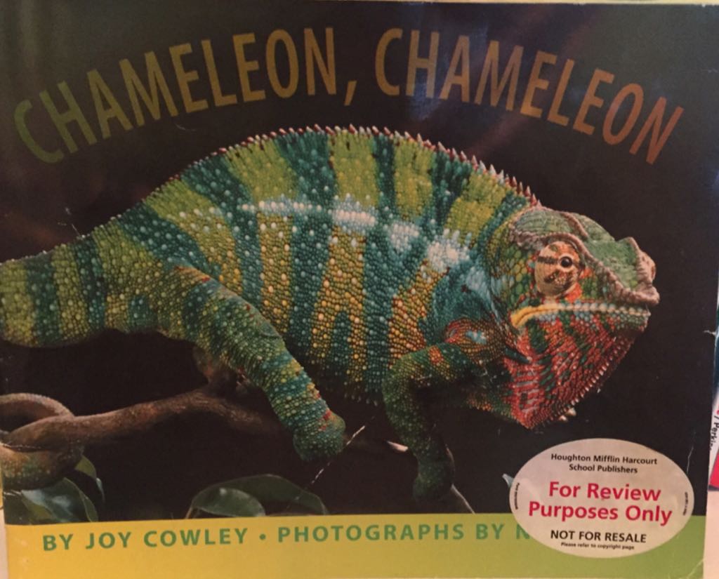 Journeys: Little Big Book Grade K Chameleon, Chameleon