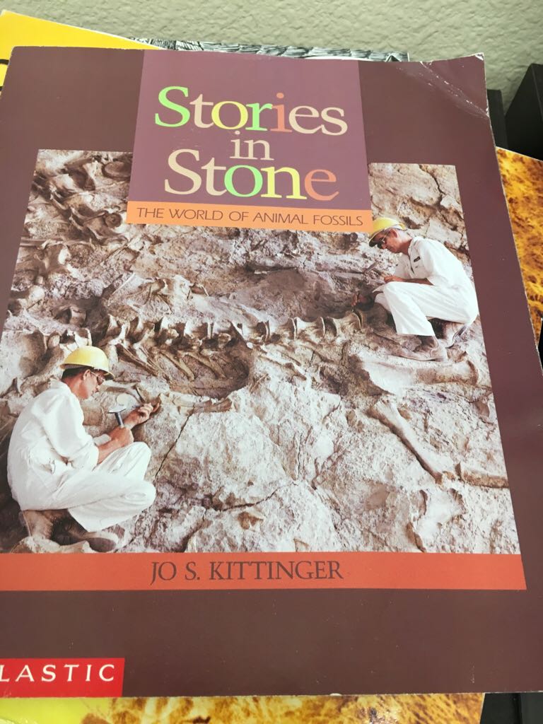 Stories In Stone The World Of Animal Fossils - S. Kittinger, book collectible [Barcode 9780531186572] - Main Image 1