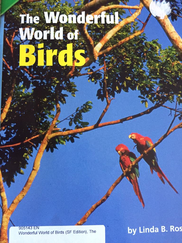 The Wonderful World of Birds