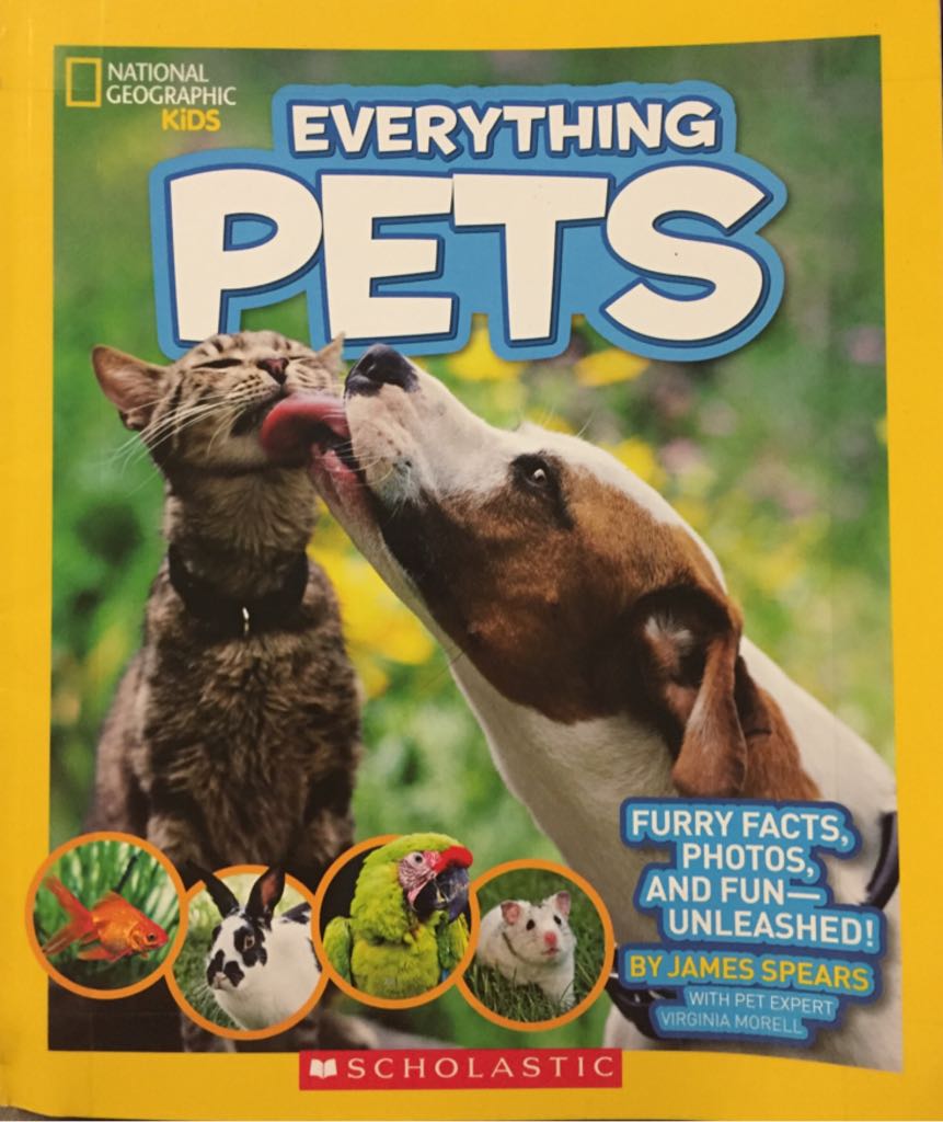 Everything Pets