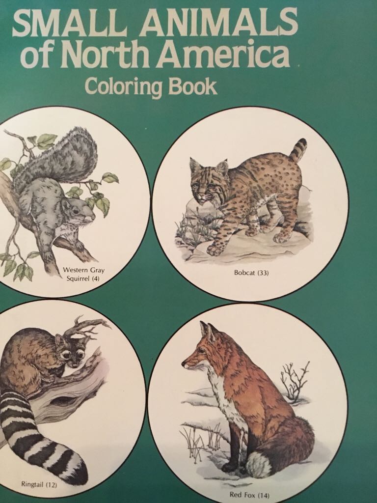 Small Animals of North America Coloring Book